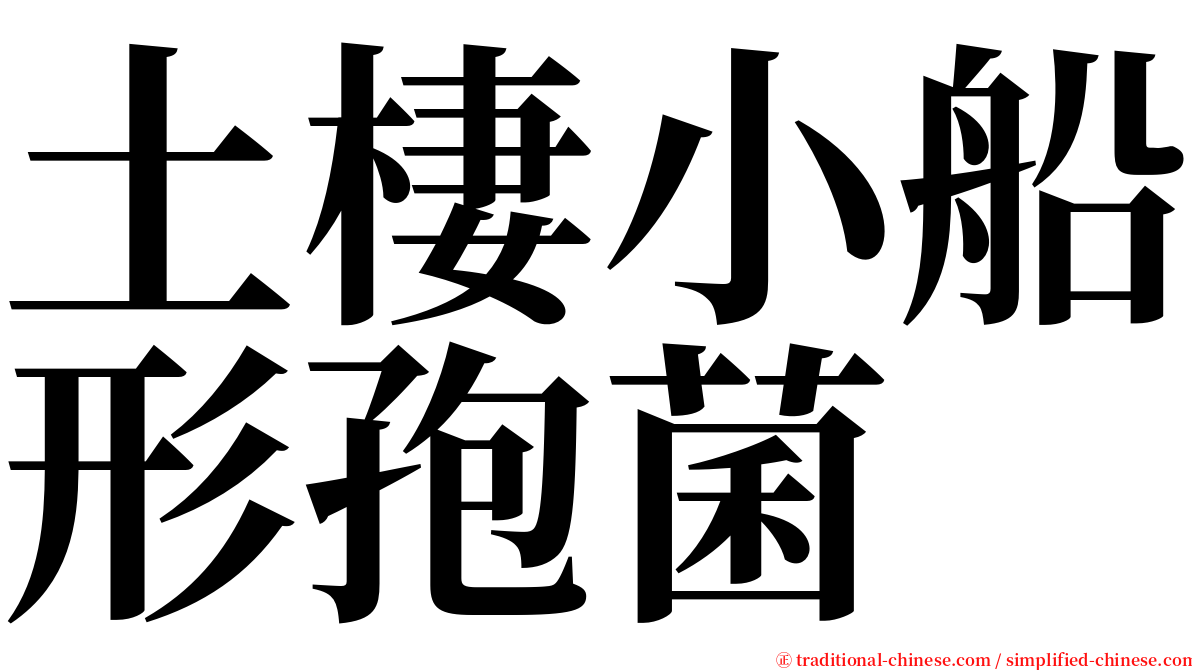 土棲小船形孢菌 serif font