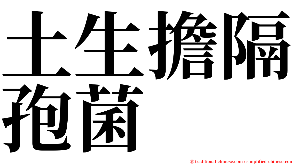 土生擔隔孢菌 serif font