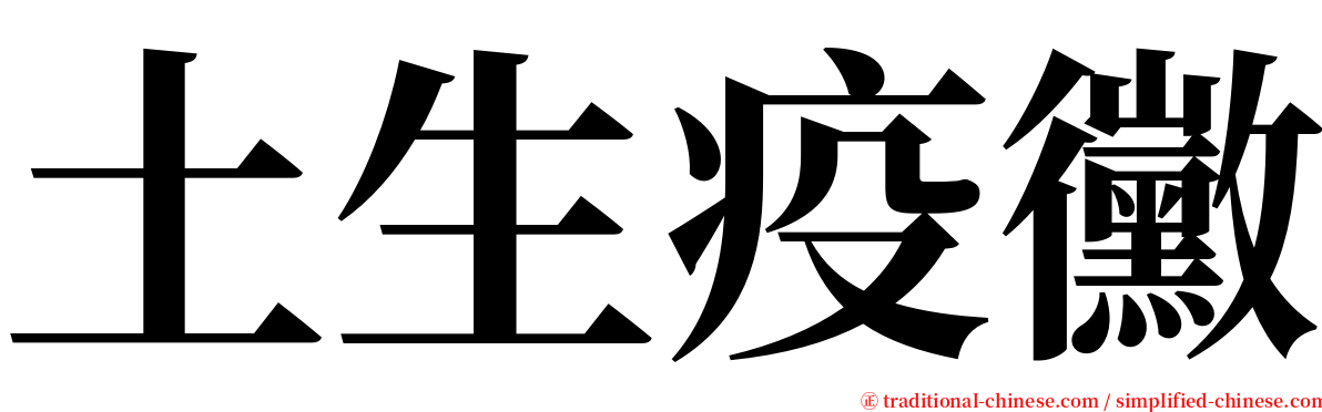 土生疫黴 serif font