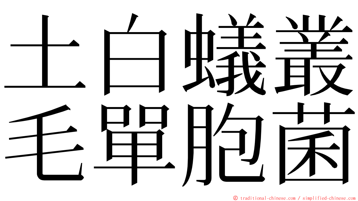 土白蟻叢毛單胞菌 ming font