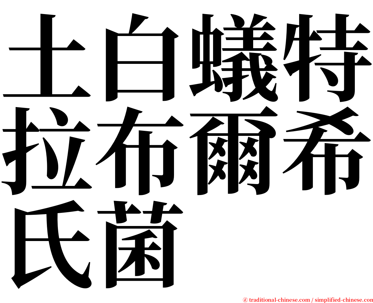 土白蟻特拉布爾希氏菌 serif font