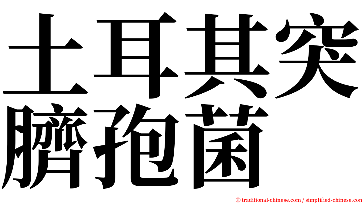 土耳其突臍孢菌 serif font