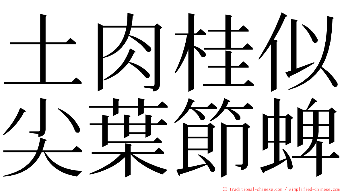 土肉桂似尖葉節蜱 ming font