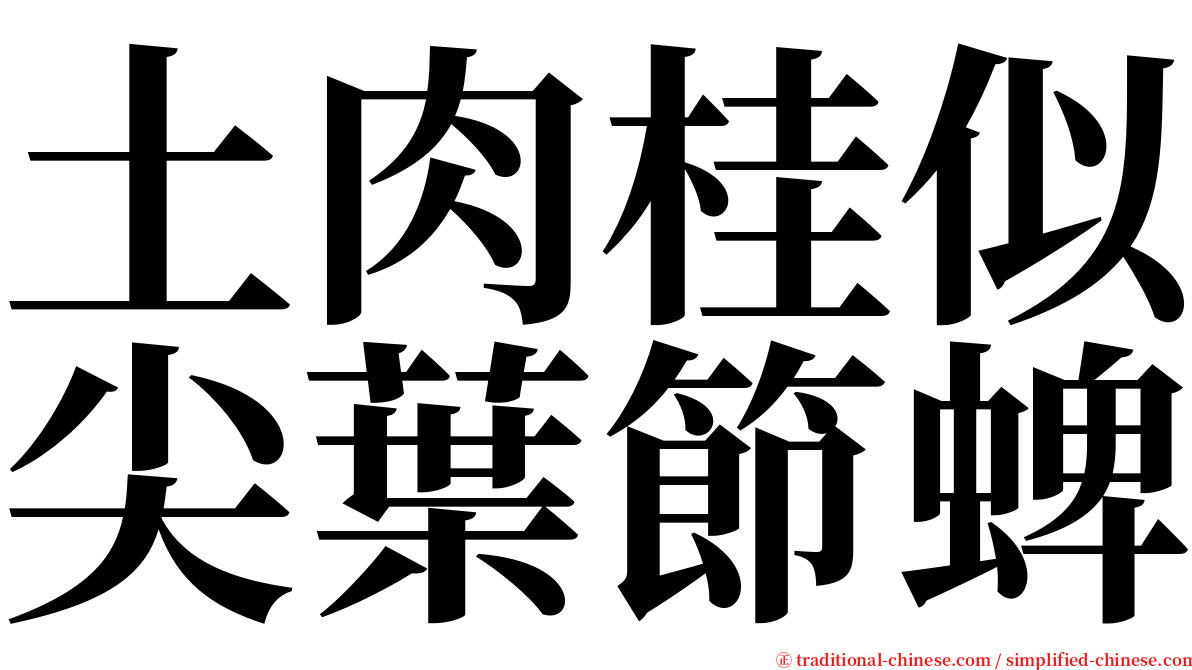 土肉桂似尖葉節蜱 serif font