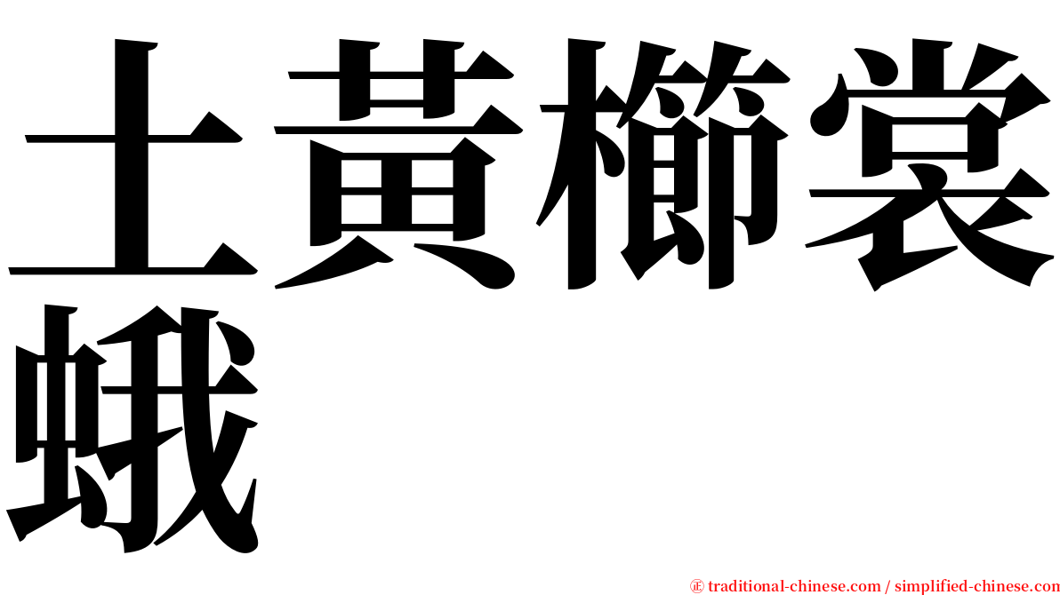 土黃櫛裳蛾 serif font