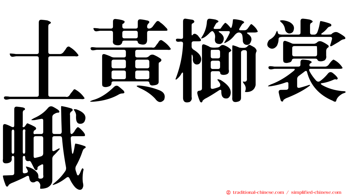 土黃櫛裳蛾