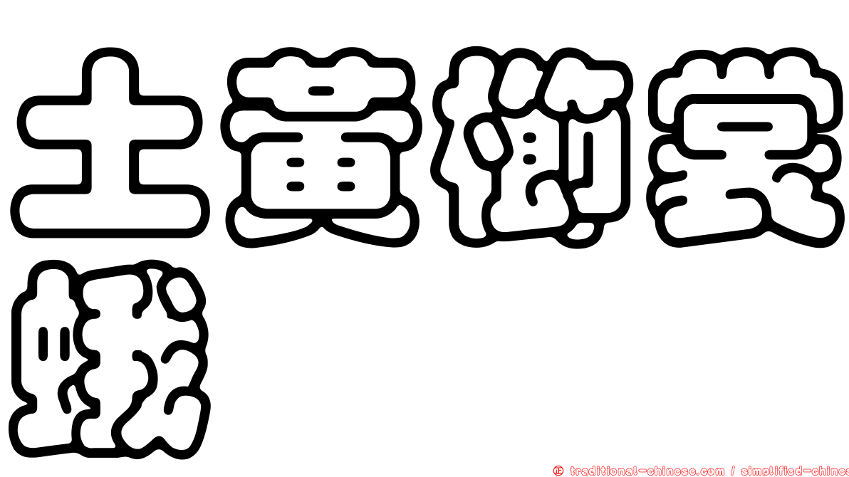 土黃櫛裳蛾