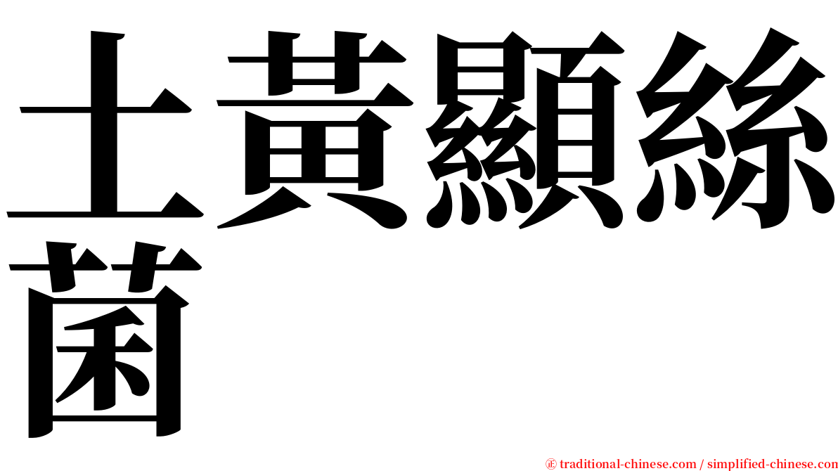 土黃顯絲菌 serif font