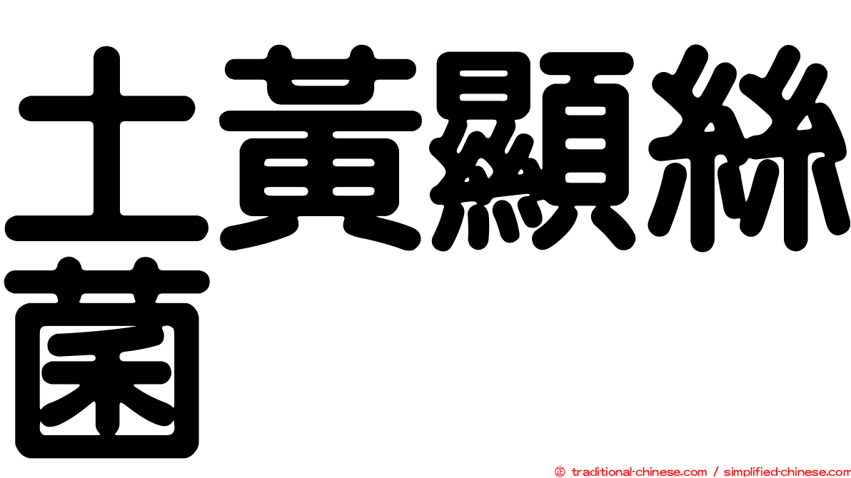 土黃顯絲菌