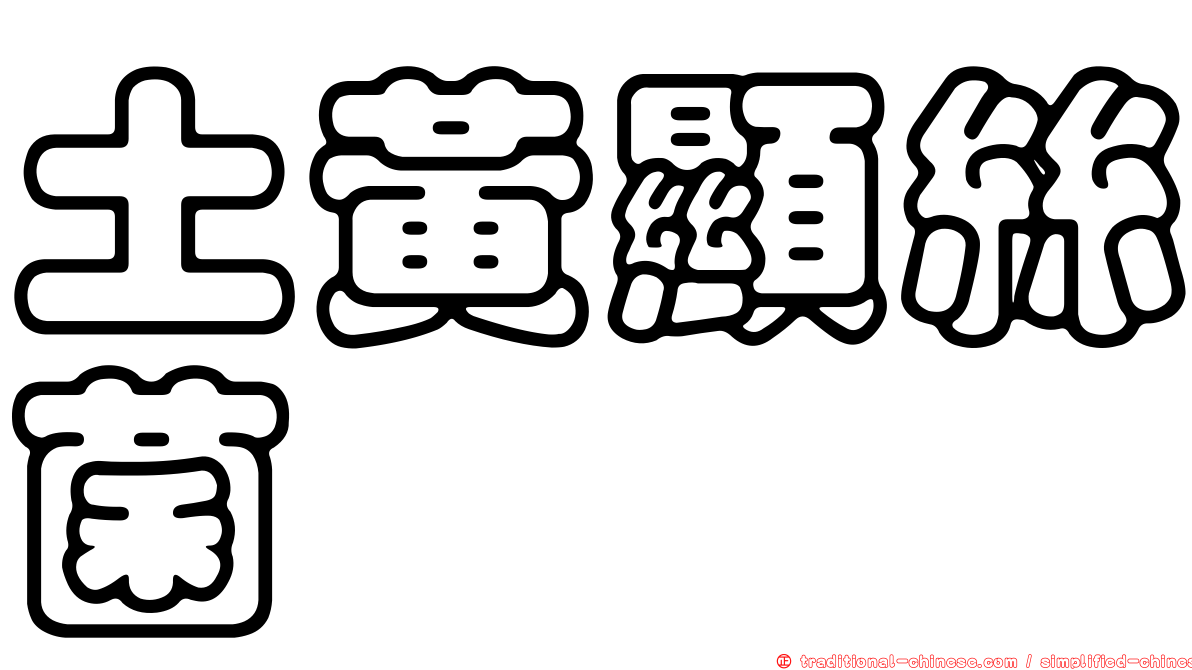 土黃顯絲菌