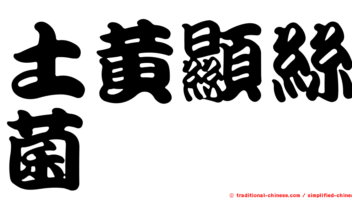 土黃顯絲菌
