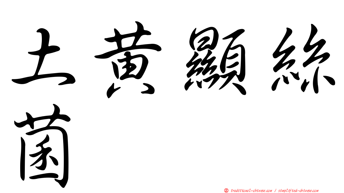 土黃顯絲菌