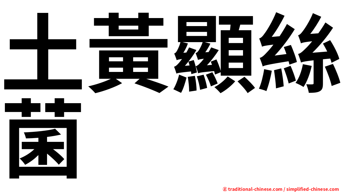 土黃顯絲菌