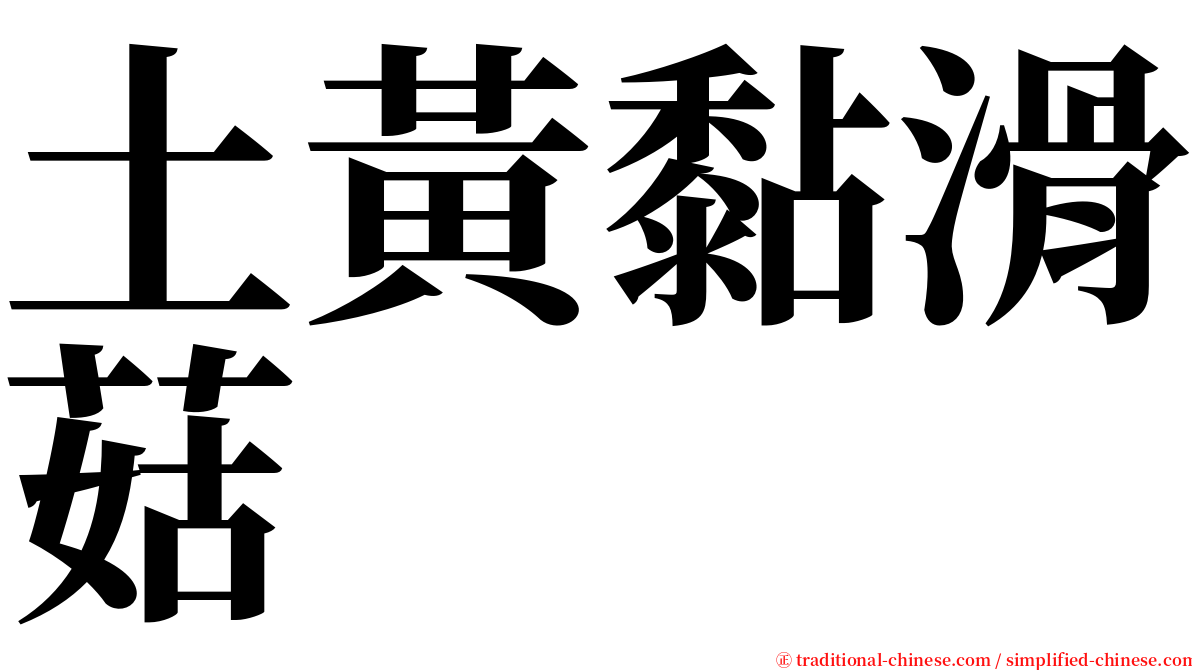 土黃黏滑菇 serif font