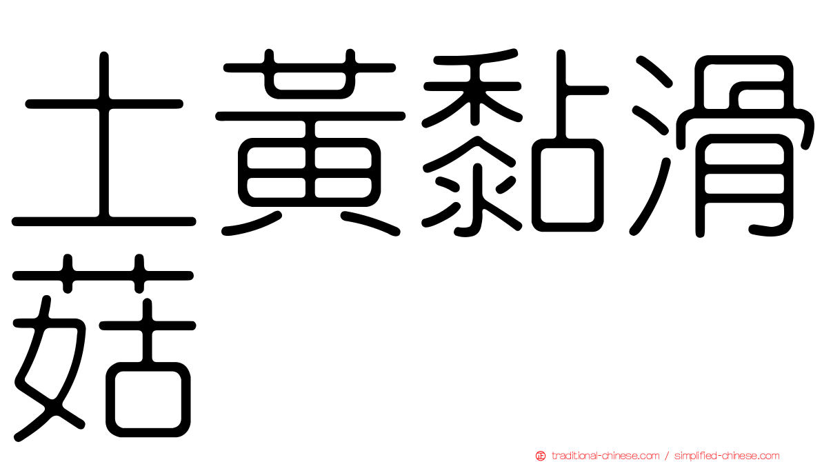 土黃黏滑菇
