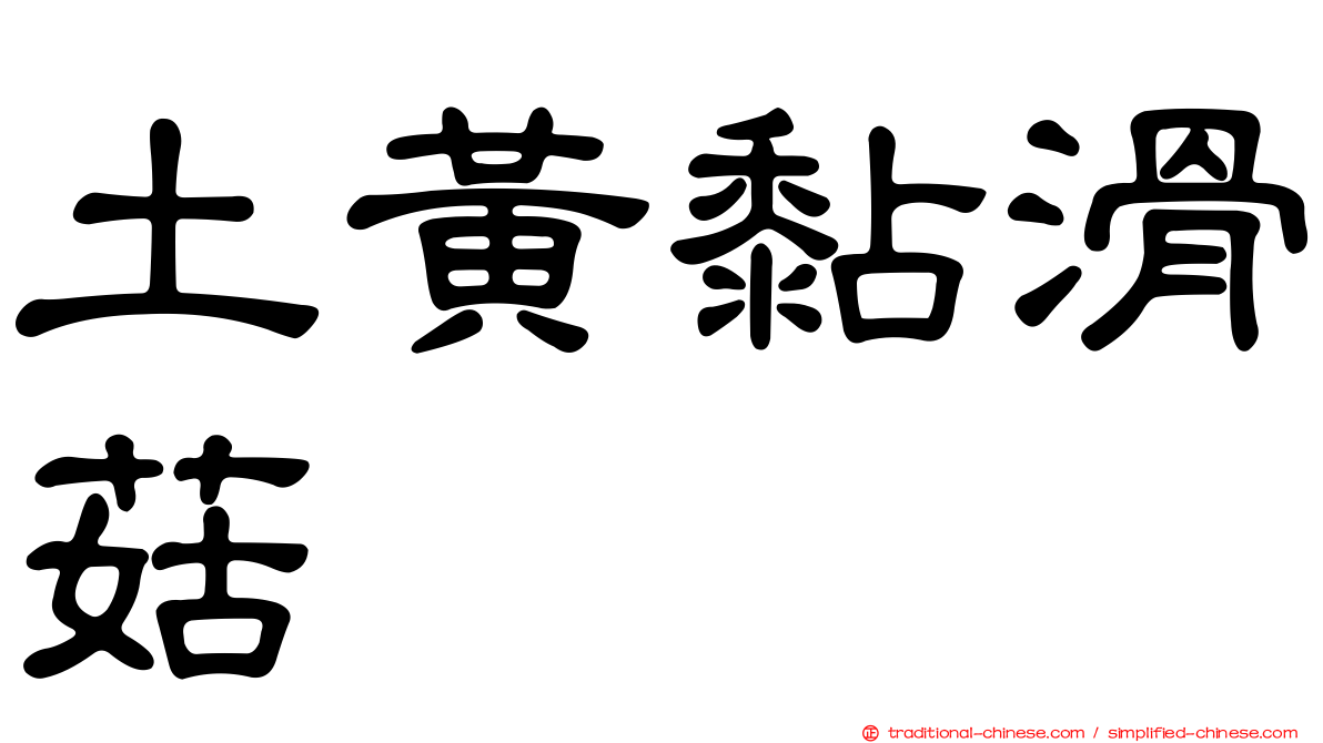 土黃黏滑菇