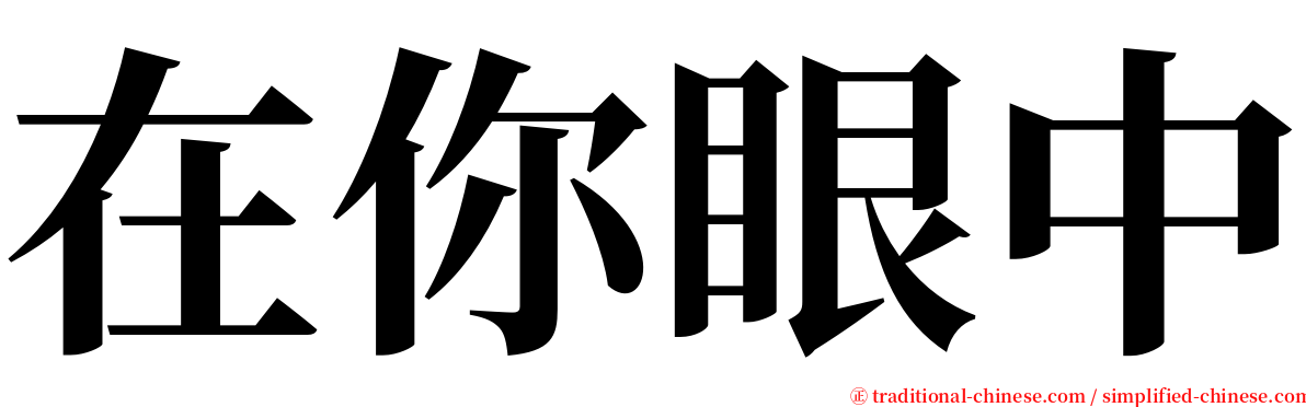 在你眼中 serif font