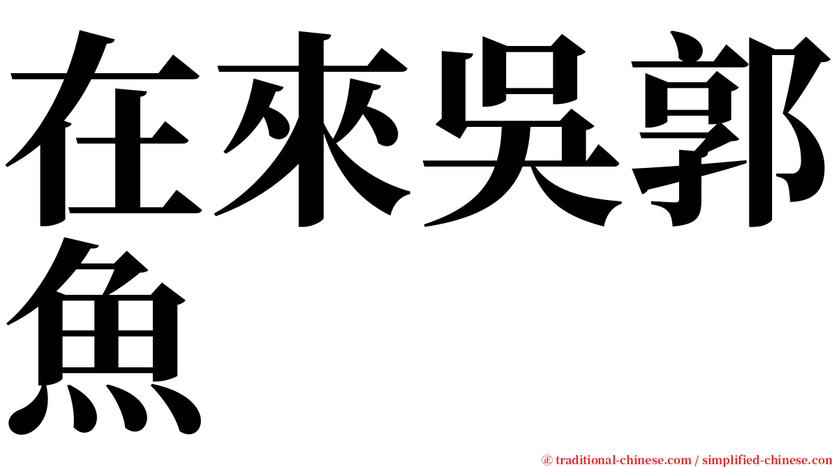 在來吳郭魚 serif font