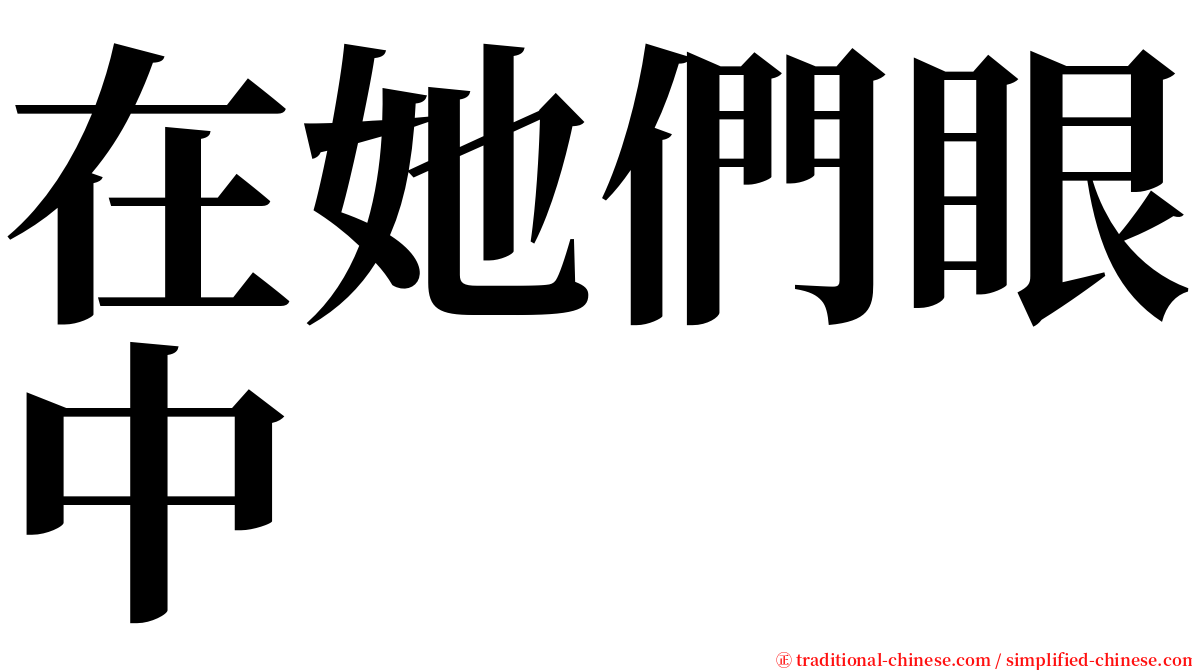 在她們眼中 serif font