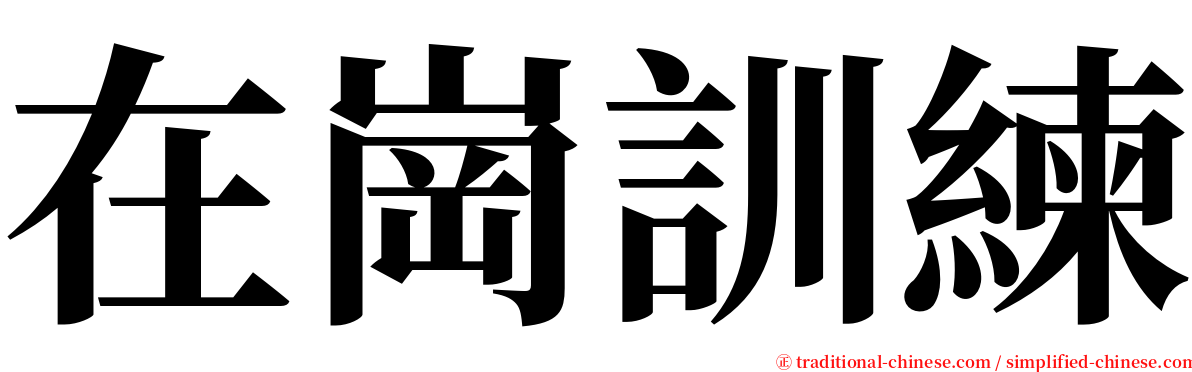在崗訓練 serif font