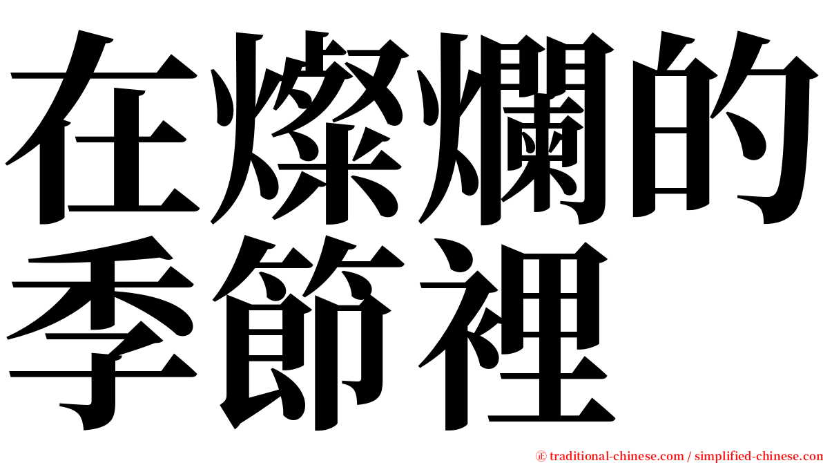 在燦爛的季節裡 serif font