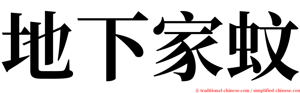 地下家蚊 serif font