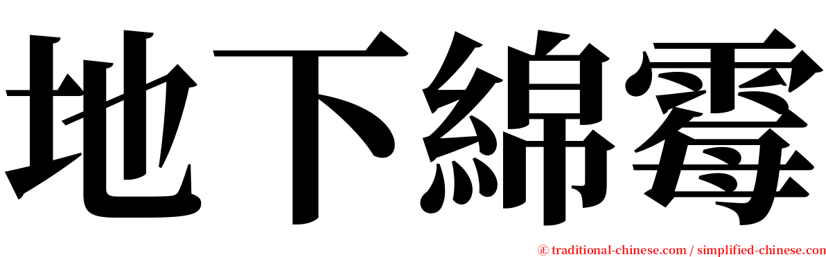 地下綿霉 serif font