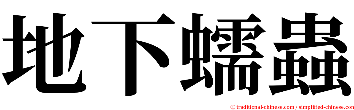 地下蠕蟲 serif font