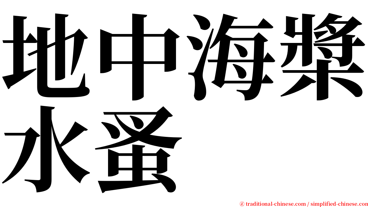 地中海槳水蚤 serif font