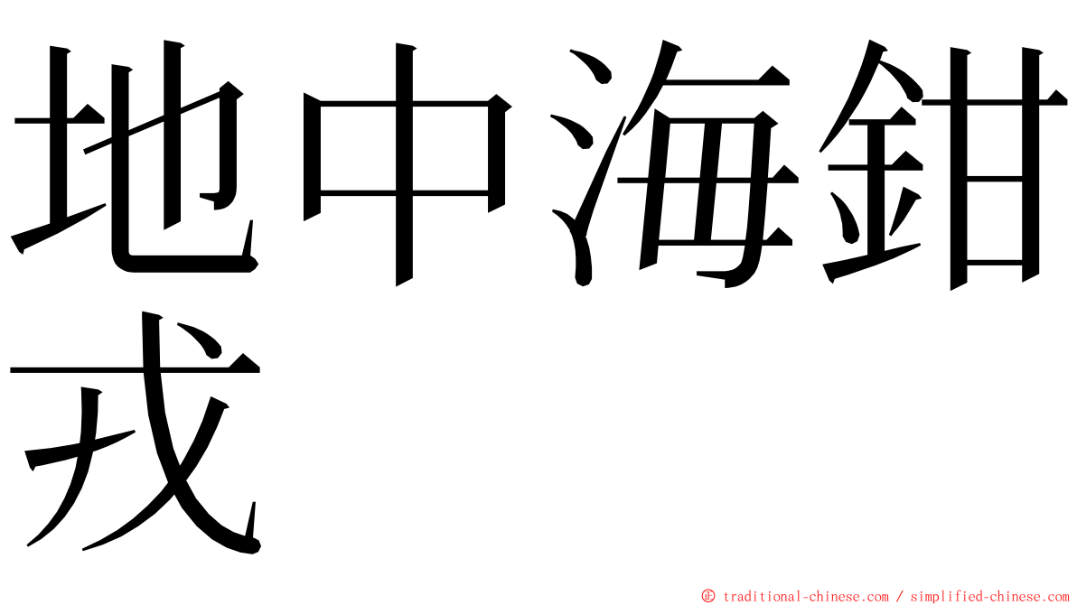 地中海鉗戎 ming font