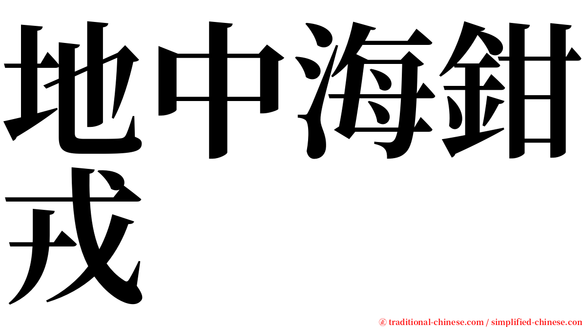 地中海鉗戎 serif font