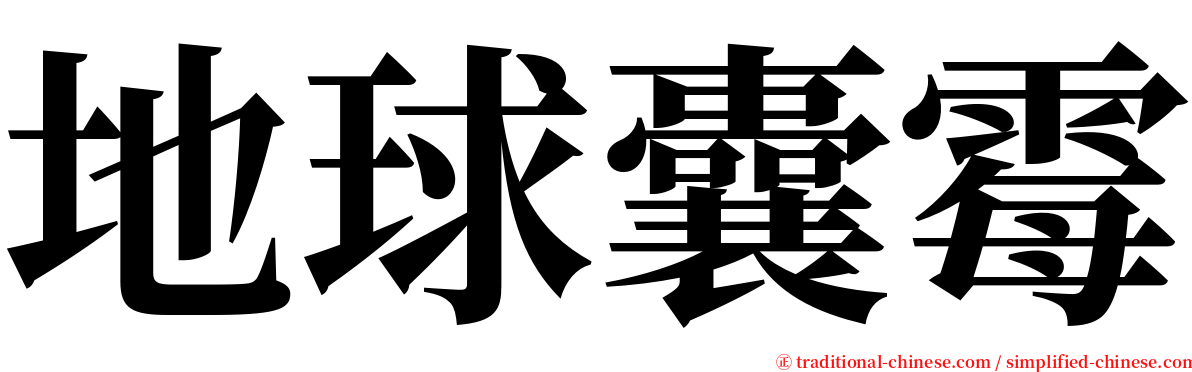 地球囊霉 serif font