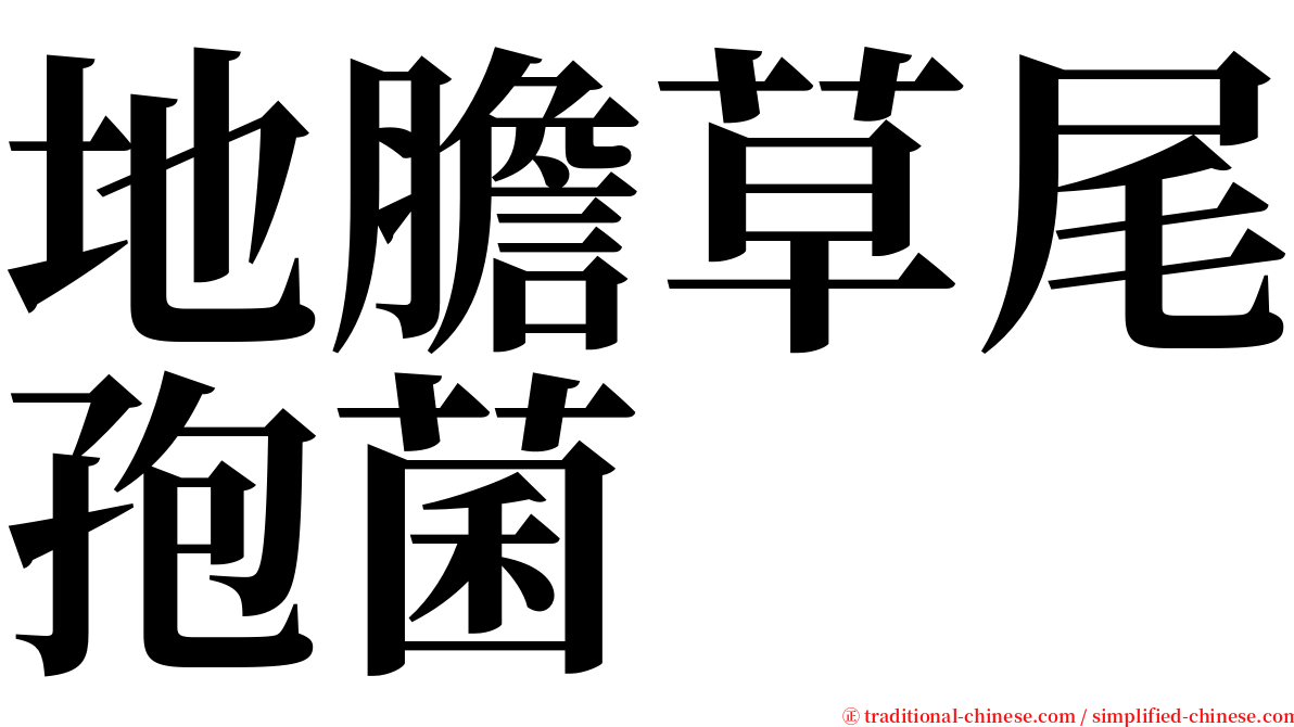 地膽草尾孢菌 serif font