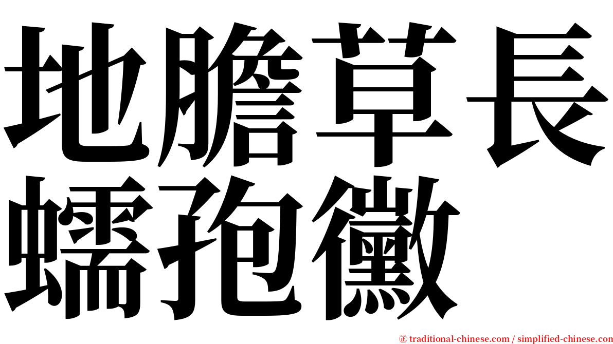 地膽草長蠕孢黴 serif font