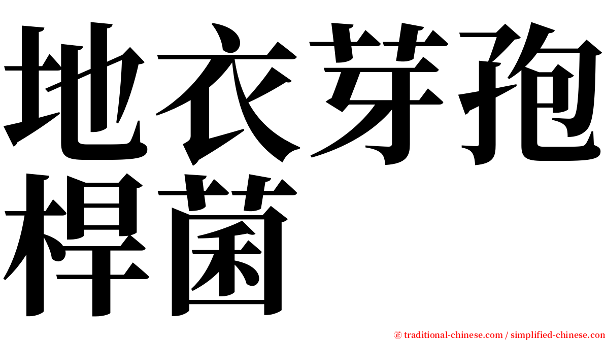 地衣芽孢桿菌 serif font