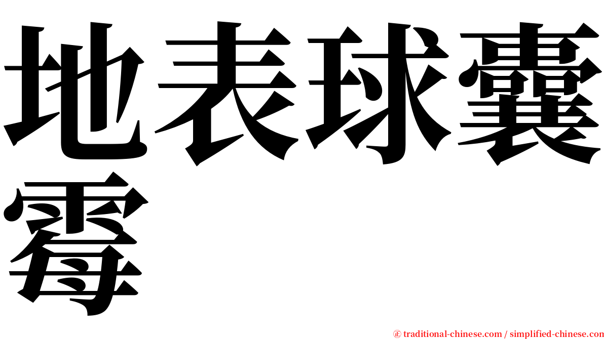 地表球囊霉 serif font