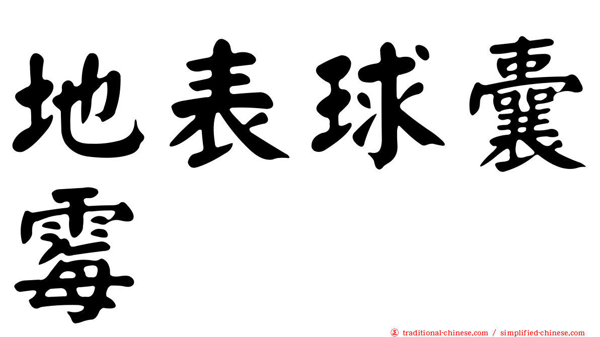 地表球囊霉