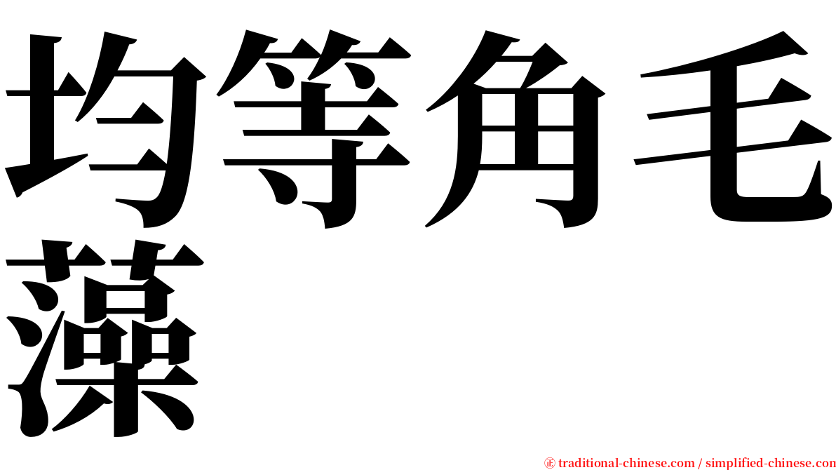 均等角毛藻 serif font