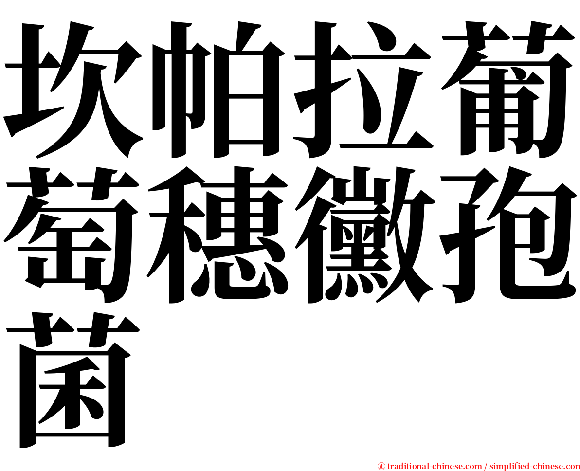 坎帕拉葡萄穗黴孢菌 serif font