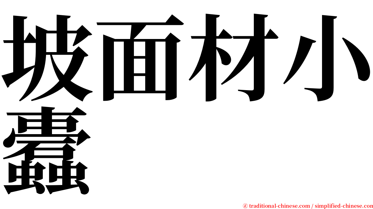 坡面材小蠹 serif font