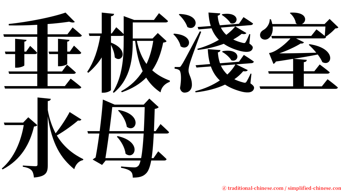 垂板淺室水母 serif font