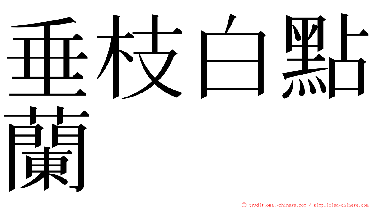 垂枝白點蘭 ming font