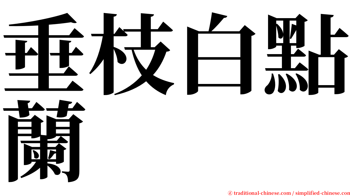 垂枝白點蘭 serif font