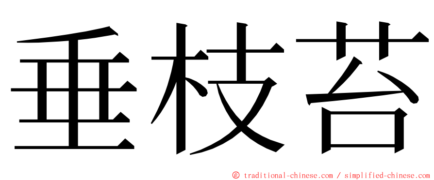 垂枝苔 ming font