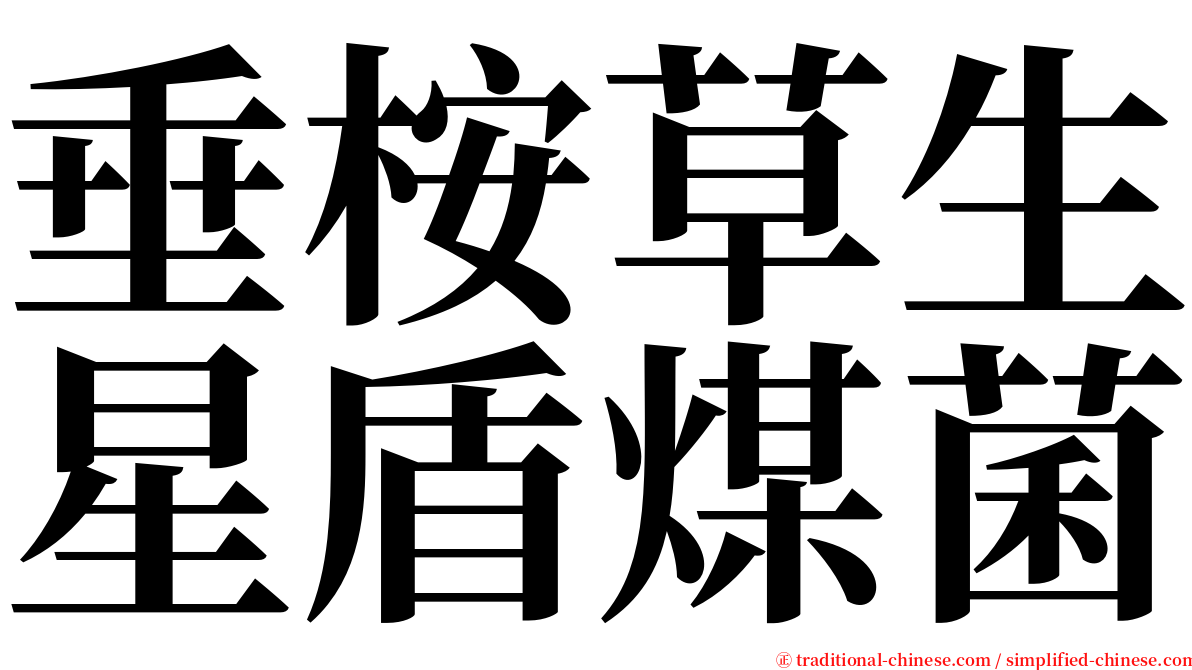 垂桉草生星盾煤菌 serif font