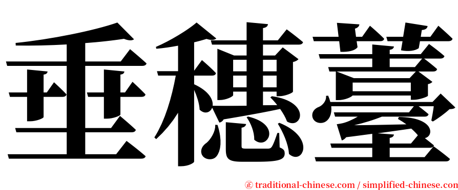 垂穗薹 serif font