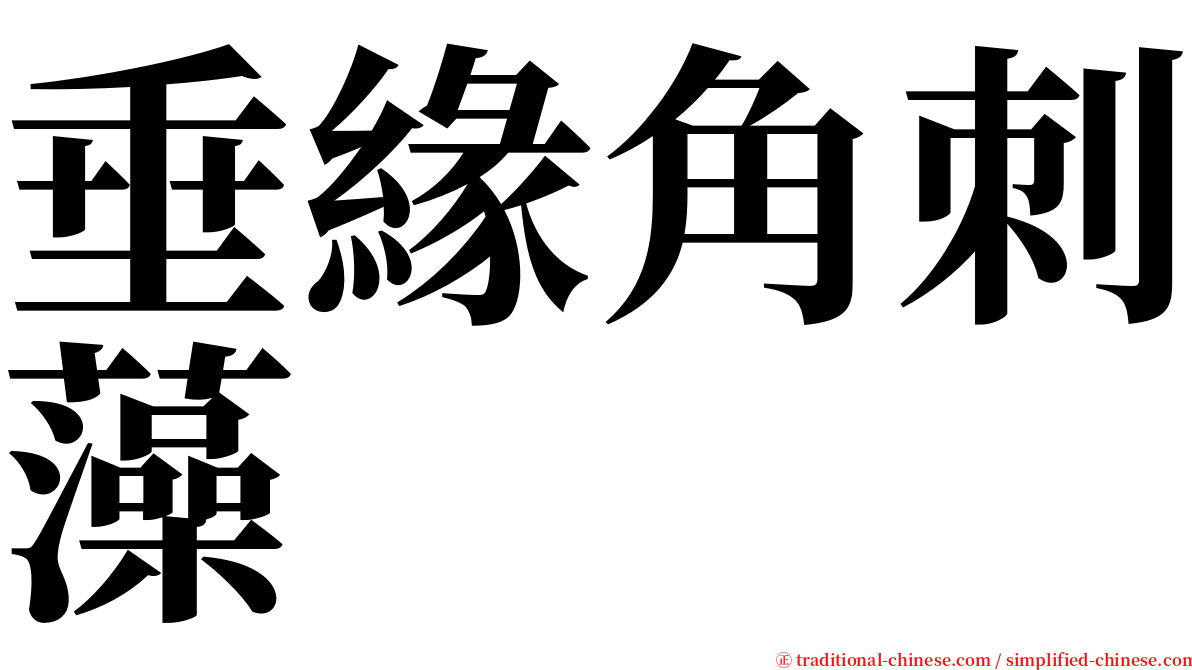 垂緣角刺藻 serif font