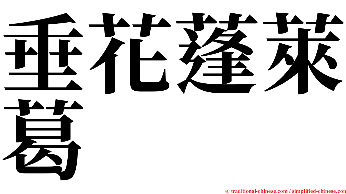 垂花蓬萊葛 serif font