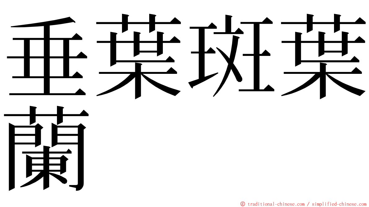 垂葉斑葉蘭 ming font