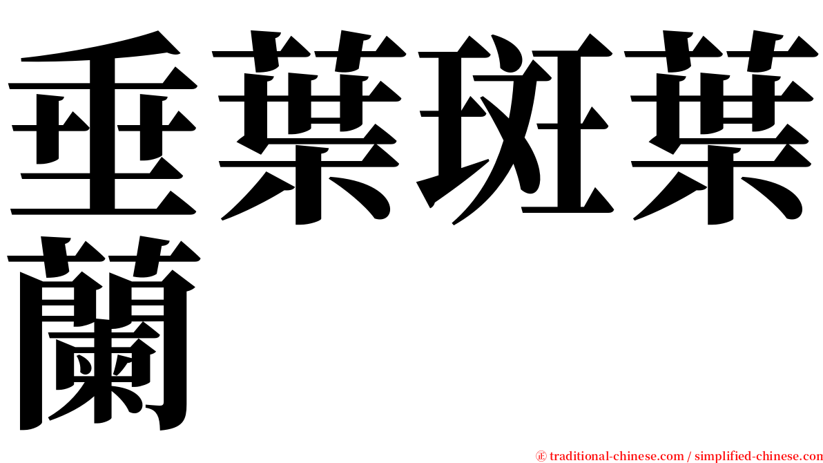 垂葉斑葉蘭 serif font